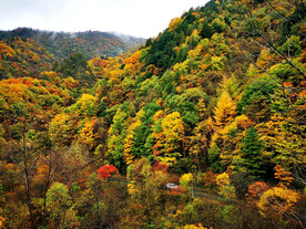 巴中光雾山风光