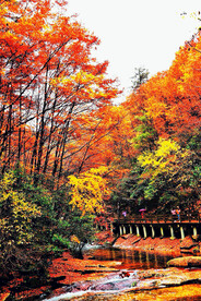 巴中光雾山风光