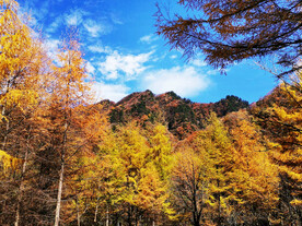 巴中光雾山风光