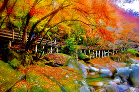 巴中光雾山风光