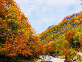 巴中光雾山风光