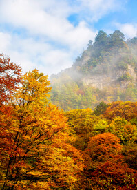 巴中光雾山风光