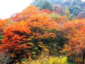 巴中光雾山风光