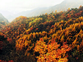 巴中光雾山风光