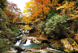 巴中光雾山风光