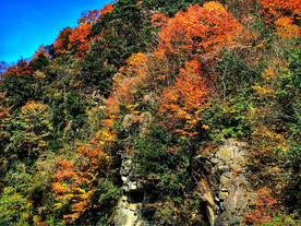 巴中光雾山风光