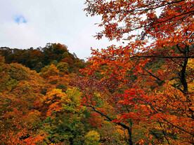 巴中光雾山风光
