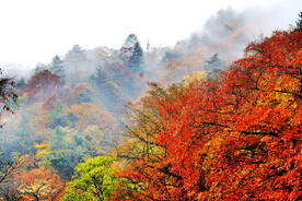 巴中光雾山风光