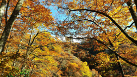 巴中光雾山风光