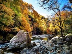 巴中光雾山风光