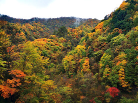 巴中光雾山风光