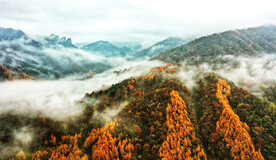 巴中光雾山风光