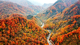 巴中光雾山风光