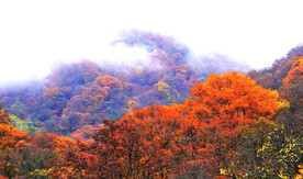 巴中光雾山风光