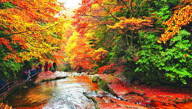 巴中光雾山风光