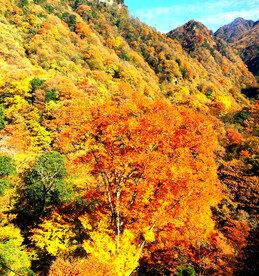 巴中光雾山风光