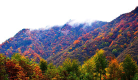 巴中光雾山风光