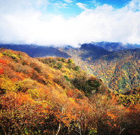 巴中光雾山风光