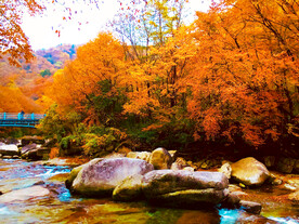 巴中光雾山风光