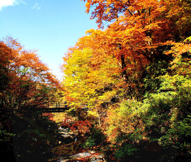 巴中光雾山风光