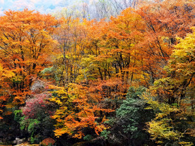 巴中光雾山风光