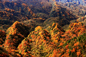 巴中光雾山风光