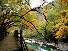 巴中光雾山风光