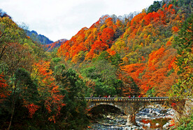 巴中光雾山风光