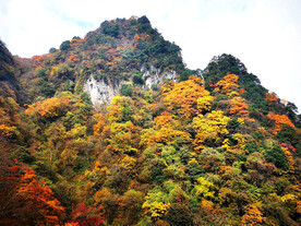 巴中光雾山风光