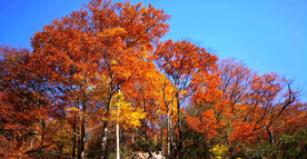 巴中光雾山风光