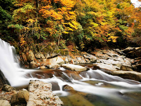 巴中光雾山风光