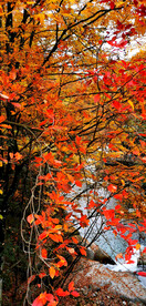 巴中光雾山风光