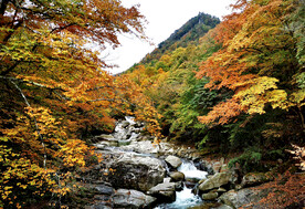 巴中光雾山风光