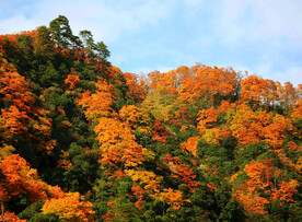巴中光雾山风光
