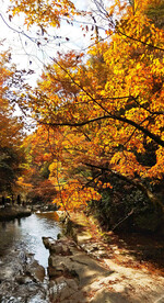 巴中光雾山风光