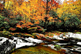 巴中光雾山风光