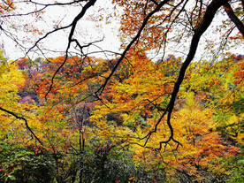 巴中光雾山风光