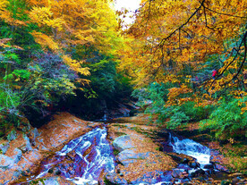 巴中光雾山风光