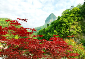 巴中光雾山风光