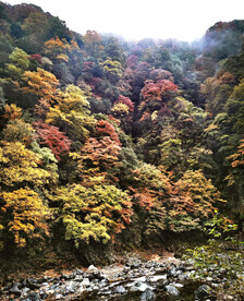 巴中光雾山风光