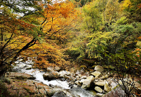 巴中光雾山风光
