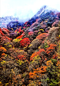 巴中光雾山风光