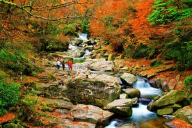 巴中光雾山风光