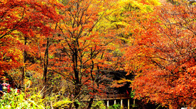 巴中光雾山风光