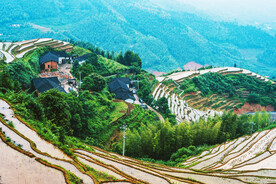 崇义上堡梯田风光