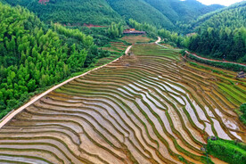 崇义上堡梯田风光