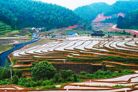 崇义上堡梯田风光
