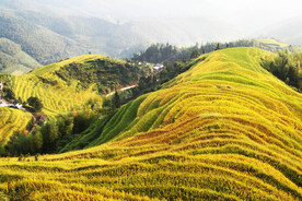 崇义上堡梯田风光