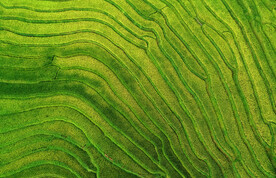 崇义上堡梯田风光