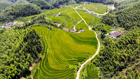 崇义上堡梯田风光